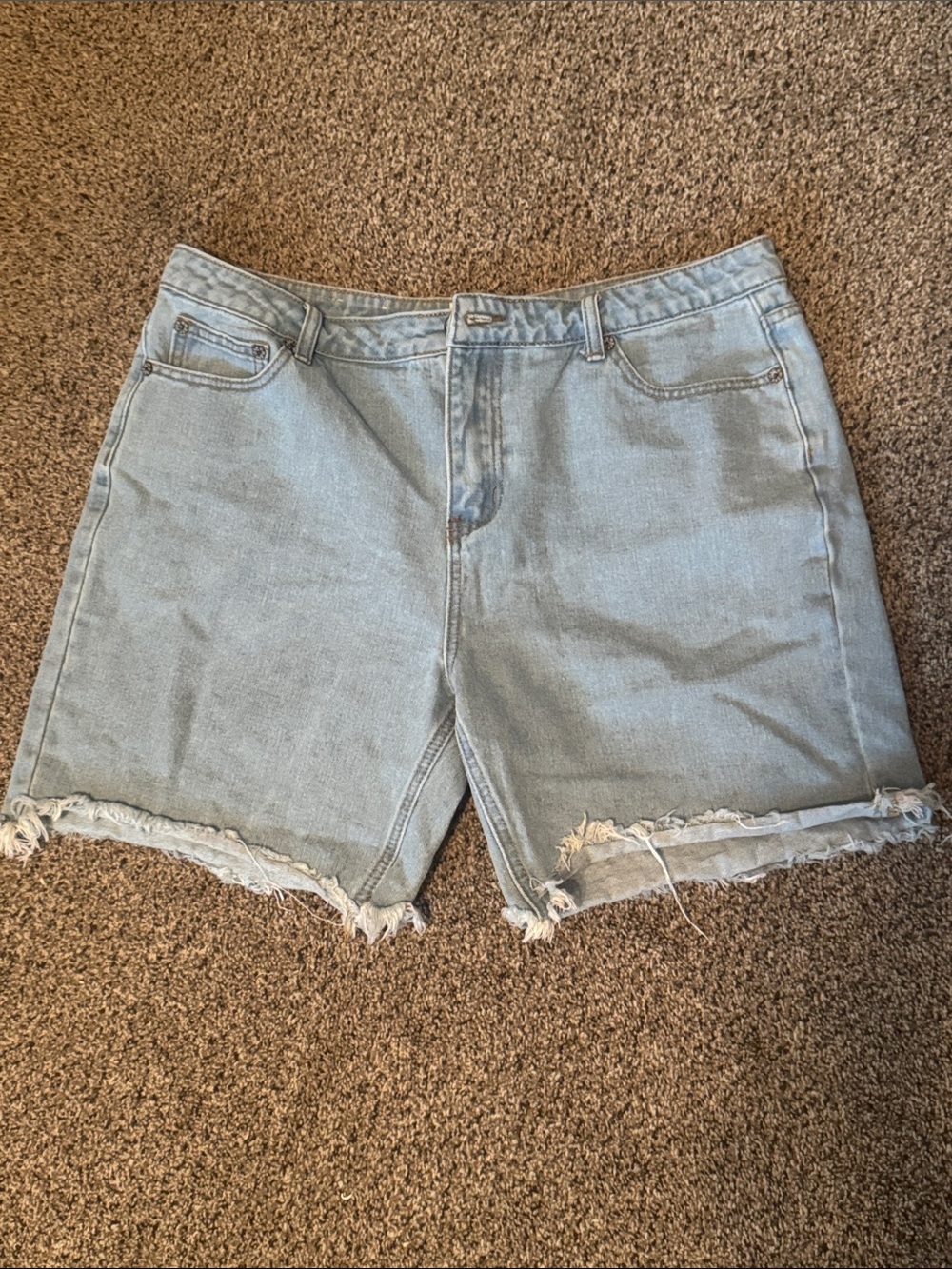Light Blue UMGEEDenim Frayed Hem Women’s Shorts